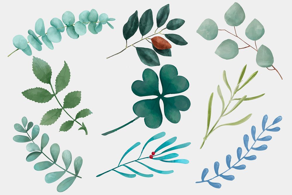 Watercolor leaves vector drawing clipart set