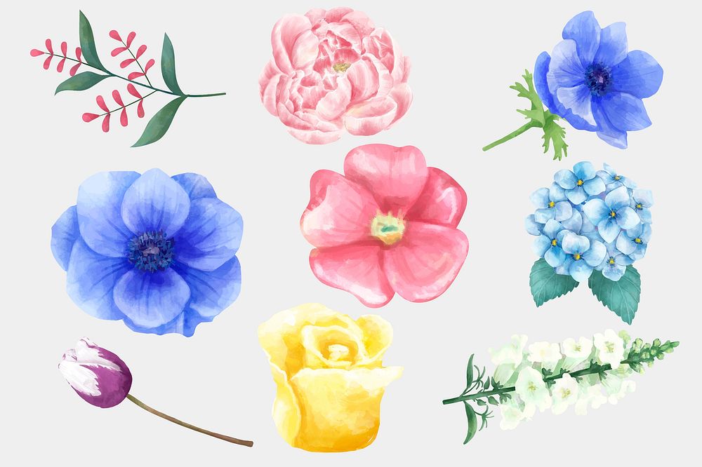 Blooming flowers vector watercolor collection
