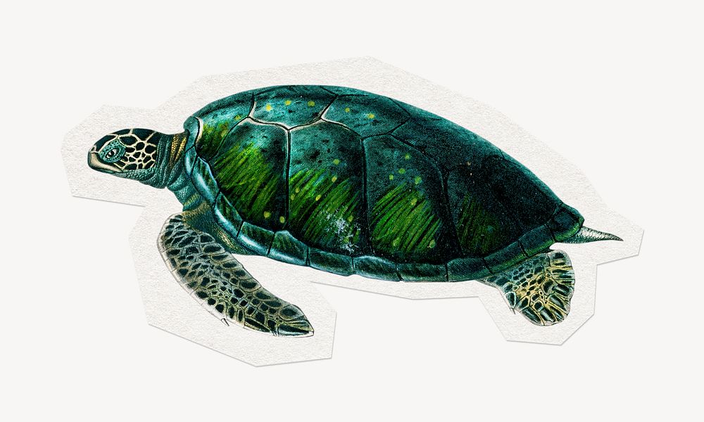 Sea turtle clipart sticker, paper craft collage element