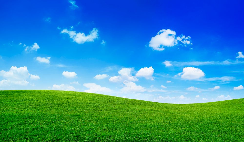 Green Field and blue sky