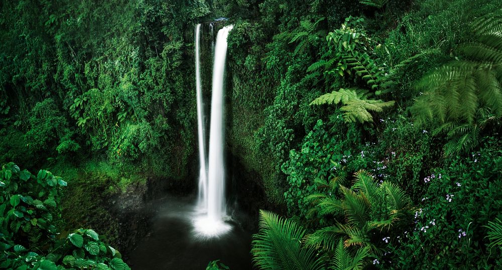 A waterfall in Samoa