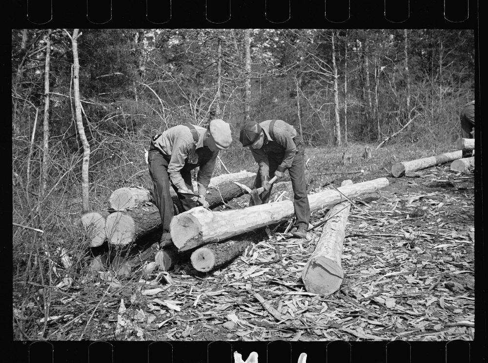 Stripping logs to be used in log shelters at Wilson Cedar Forest, near Lebanon, Tennessee. Sourced from the Library of…