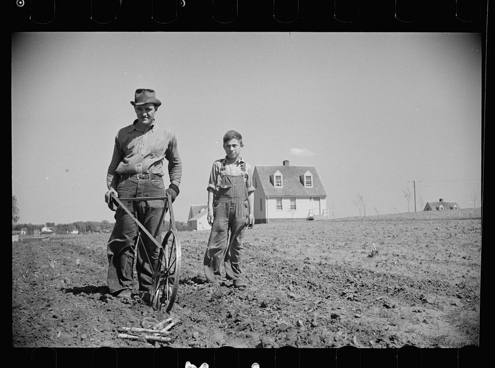 [Untitled photo, possibly related to: Miner-farmer working his land at the Granger Homesteads]. Sourced from the Library of…