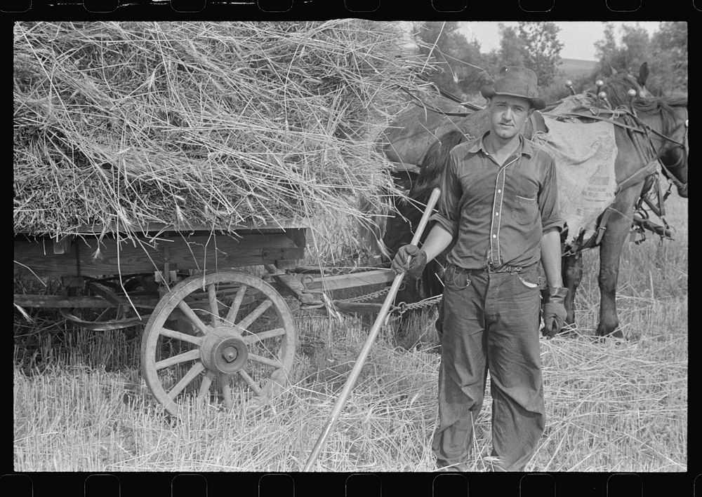 Mechanicsburg (vicinity), Ohio. Harvest hand and helper on the Virgil Thaxton farm. Sourced from the Library of Congress.