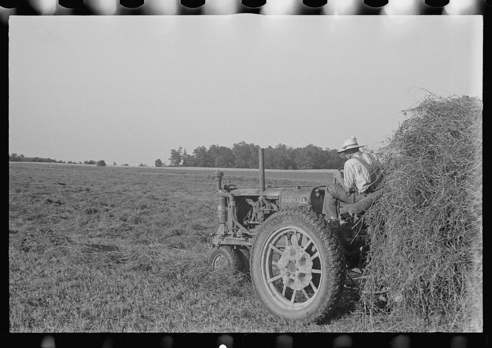 [Untitled photo, possibly related to Free Photo rawpixel