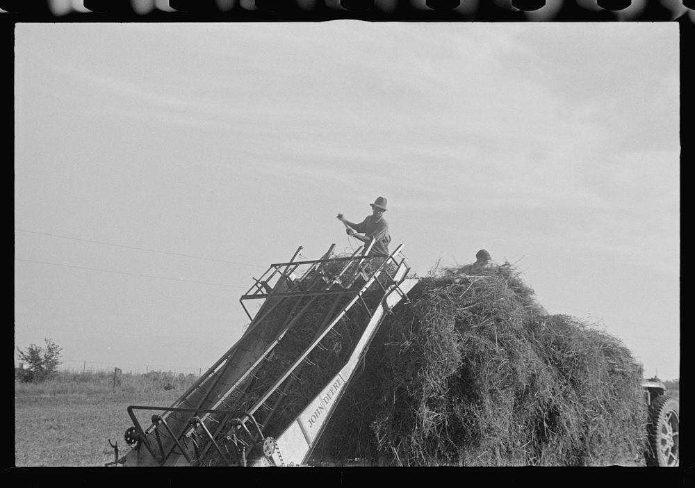 [Untitled photo, possibly related to Free Photo rawpixel