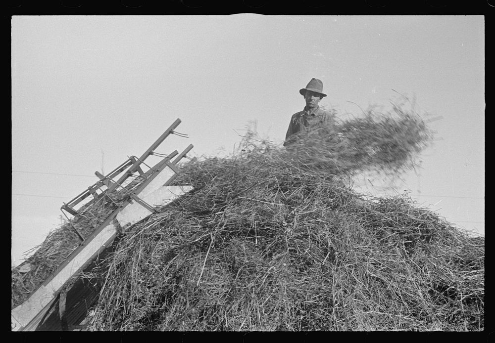 [Untitled photo, possibly related to Free Photo rawpixel