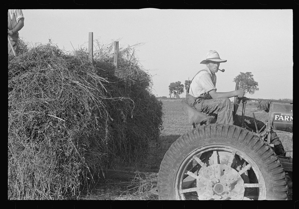 [Untitled photo, possibly related to Free Photo rawpixel