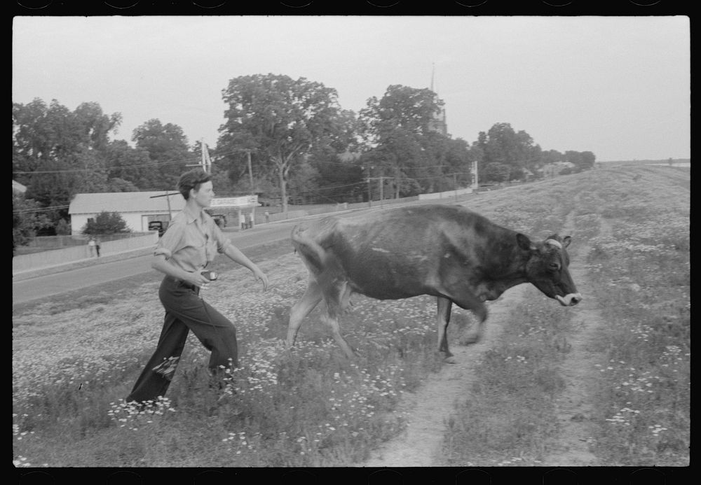 [Untitled]. Sourced from the Library of Congress.