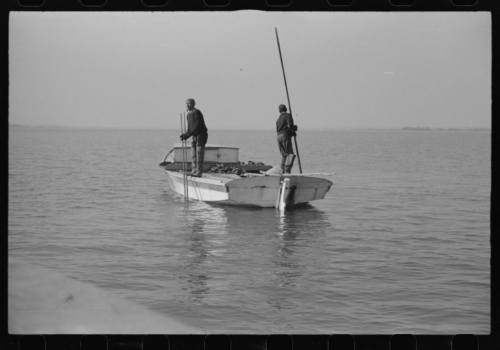 [Untitled photo, possibly related to: Captain Stein, oysterman, Rock Point, Maryland]. Sourced from the Library of Congress.