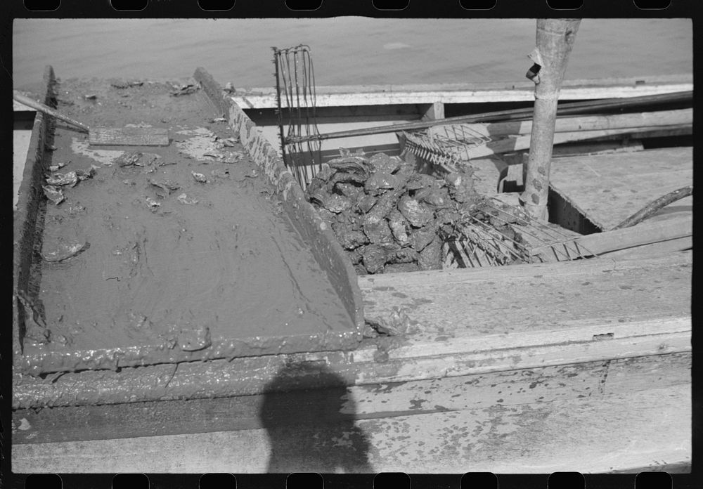 Culling board of oyster boat, Rock Point, Maryland. Sourced from the Library of Congress.