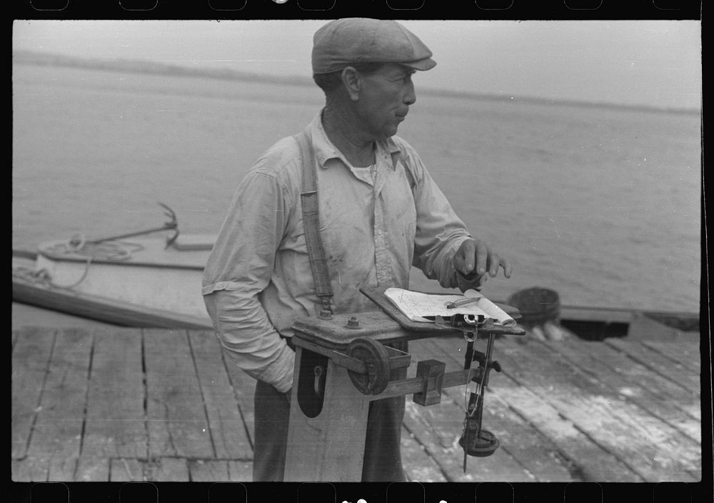 [Untitled photo, possibly related to: Dumping crabs into cooker. Rock Point, Maryland]. Sourced from the Library of Congress.