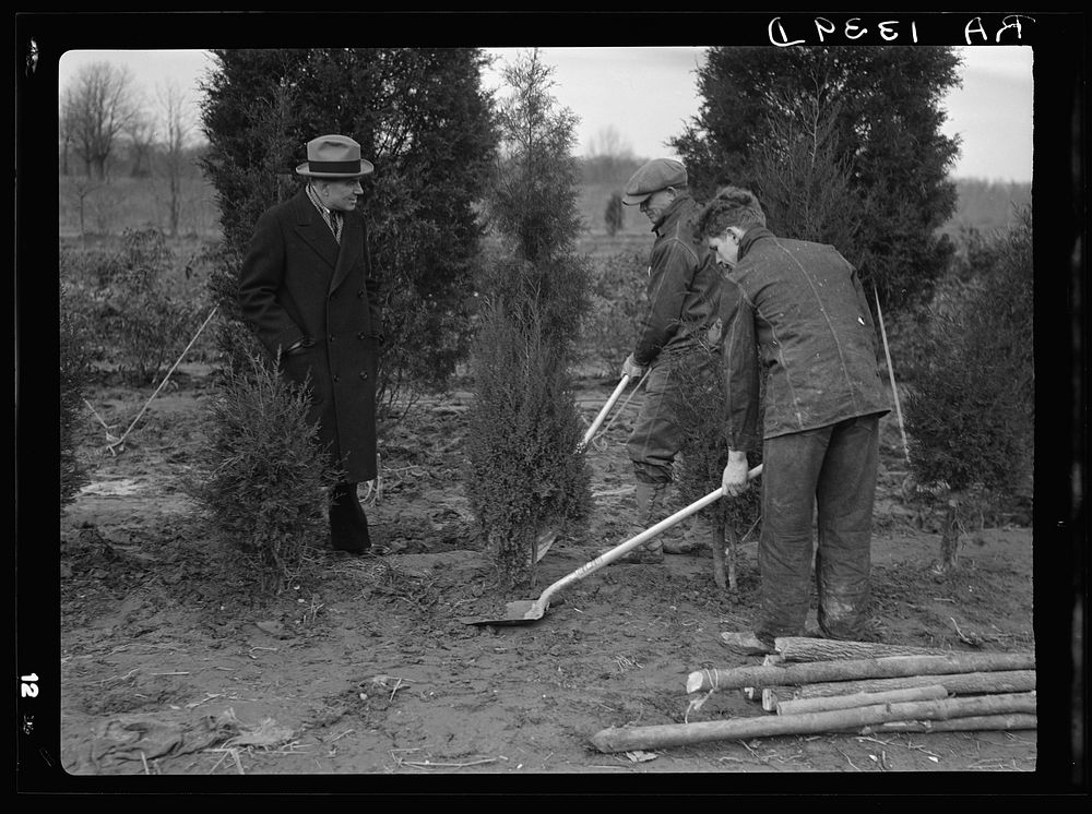 Administrator Tugwell Berwyn, Maryland. Sourced Free Photo rawpixel