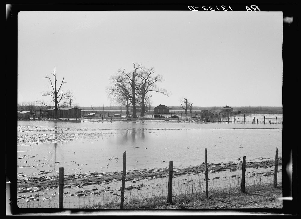 Farmland submerged by the 1937 flood at Bessie Levee near Tiptonville, Tennessee. Sourced from the Library of Congress.
