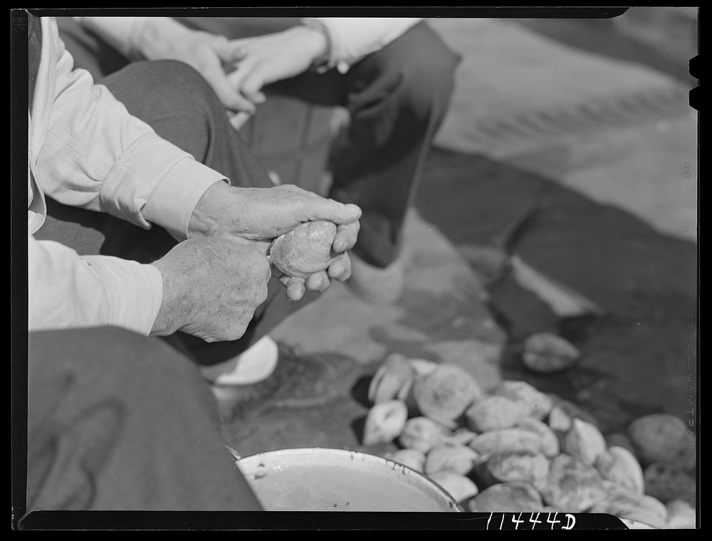 Washington, D.C. Man opening a clam in the fish market. Sourced from the Library of Congress.