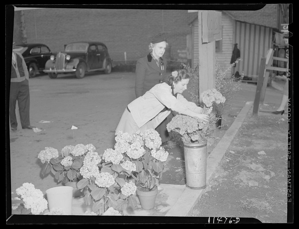 Washington, D.C. Flower stand in a parking lot on Connecticut Avenue near Dupont Circle. Sourced from the Library of…