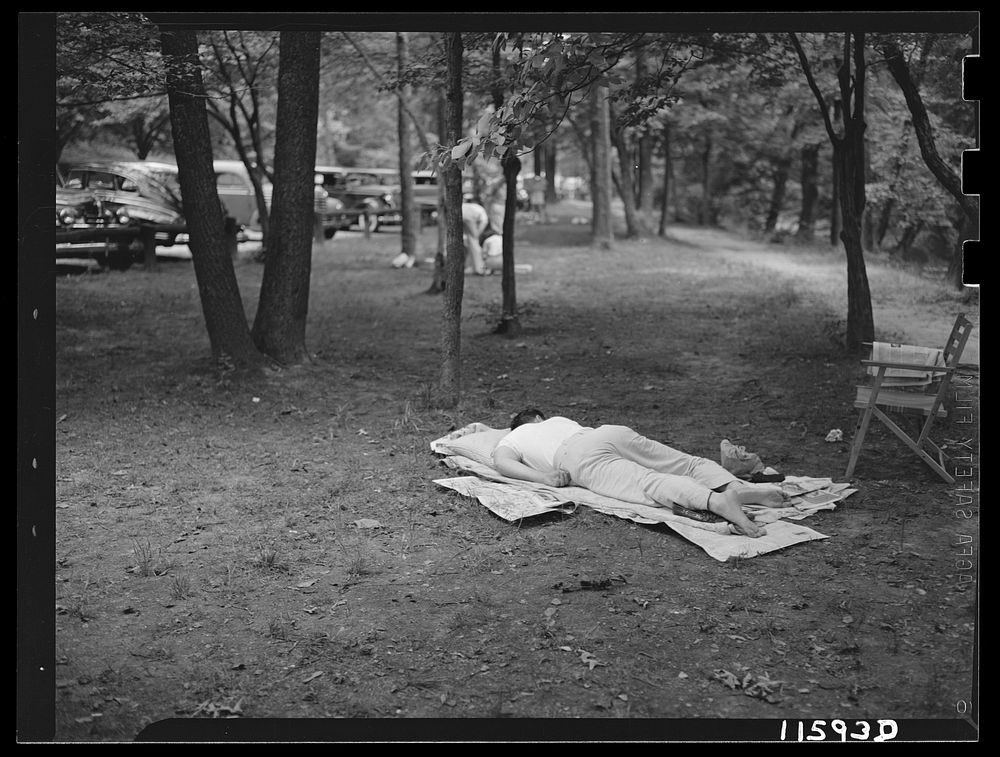 Washington, D.C. Man sleeping in Rock Creek Park. Sourced from the Library of Congress.