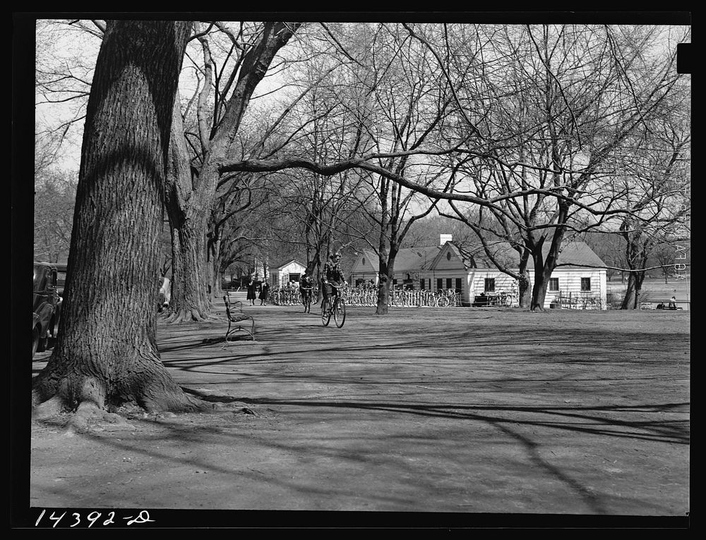 Sunday recreation for "government workers." Tidal Basin, Washington, D.C.. Sourced from the Library of Congress.
