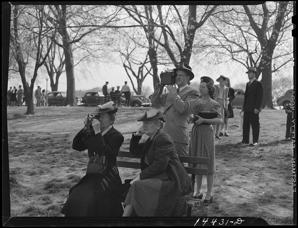 Camera bugs snapping the cherry blossoms across the Tidal Basin. Cherry Blossom Festival, Washington, D.C.. Sourced from the…