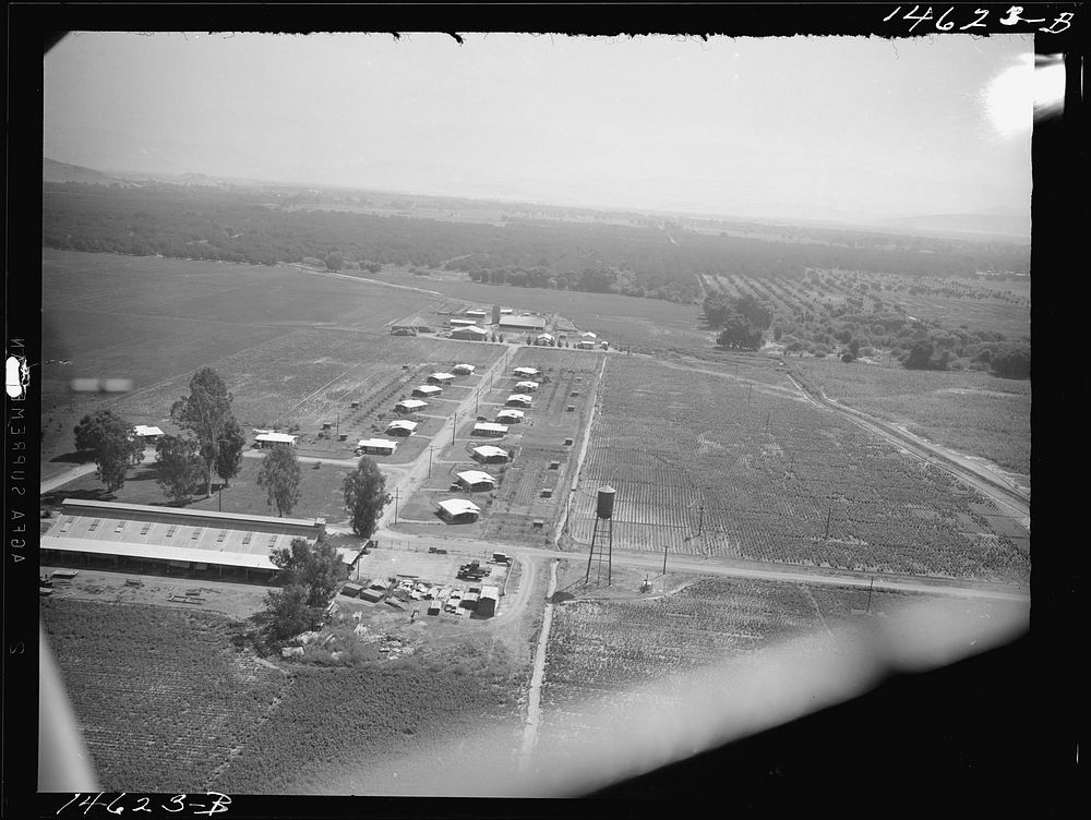 Visalia, California (vicinity). Mineral King Farm Association. Air view. Sourced from the Library of Congress.