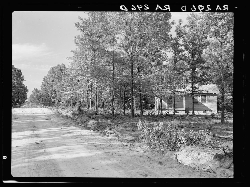 [Untitled photo, possibly related to: House at Meridian (Magnolia Homesteads), Mississippi]. Sourced from the Library of…