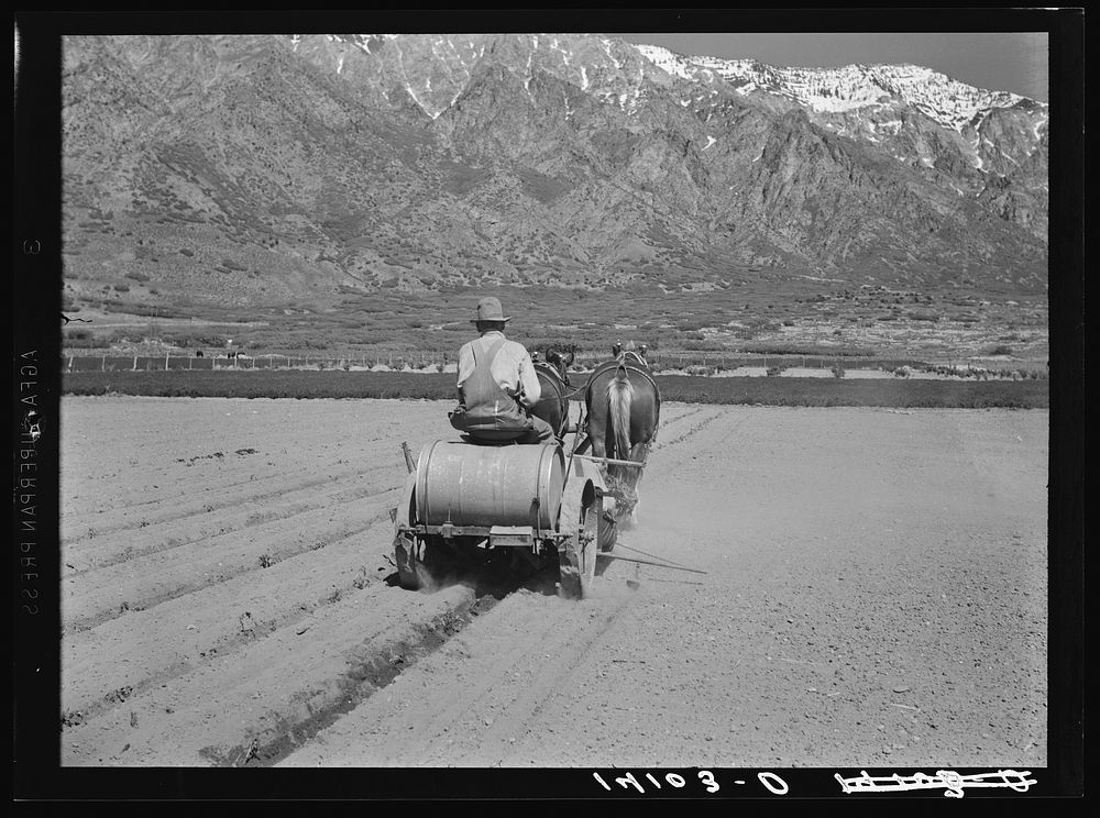 C.E. Toombs, Cache County, Utah, Farm Security Administration rehabilitation client, drives a new tomato planting machine…