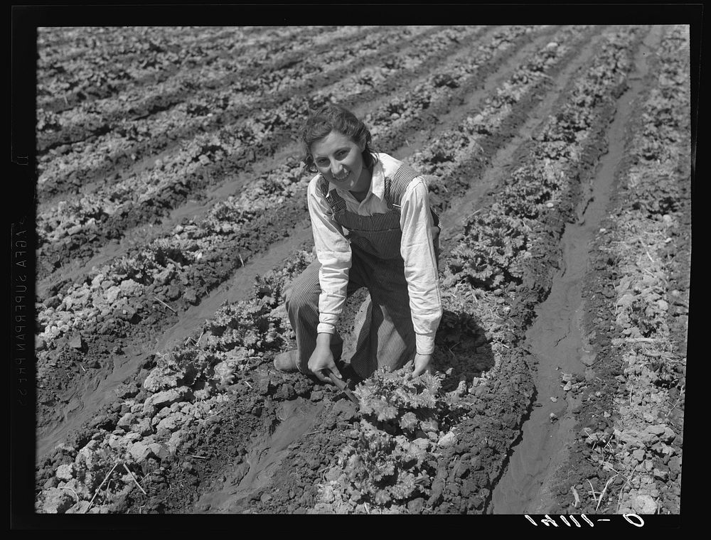 Ellen Mark, daughter of Louie Mark, Farm Security Administration rehabilitation client of West Jordan, Salt Lake County…