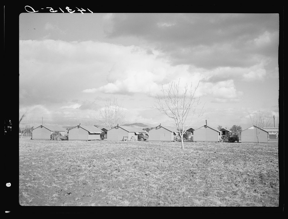 Back view of metal shelters. Visalia migratory labor camp, California. Sourced from the Library of Congress.