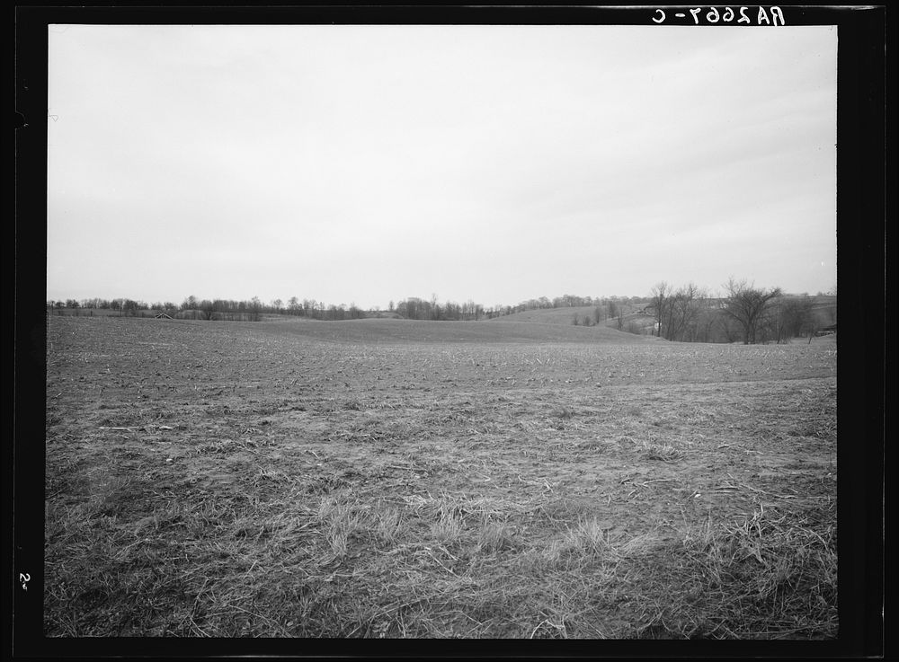 [Untitled photo, possibly related to: Characteristic topography. Greenhills, Ohio]. Sourced from the Library of Congress.