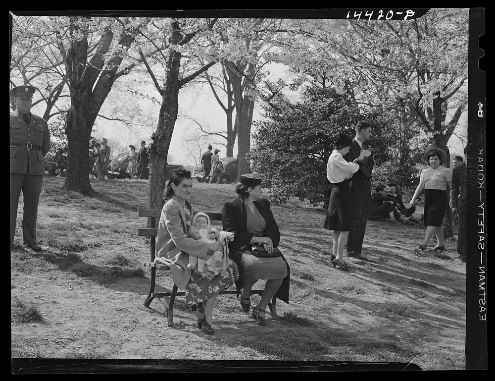 [Untitled photo, possibly related to: Relaxing after Cherry Blossom Festival. Washington, D.C.]. Sourced from the Library of…