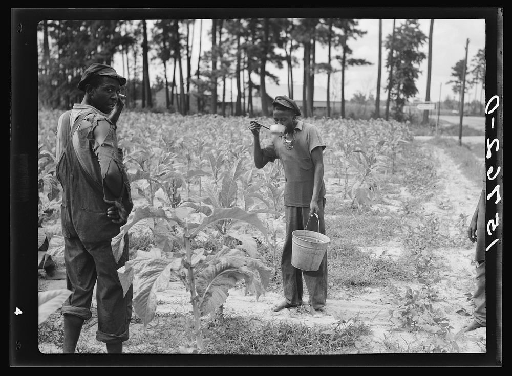 Tobacco workers. Florence County, South Carolina. Sourced from the Library of Congress.