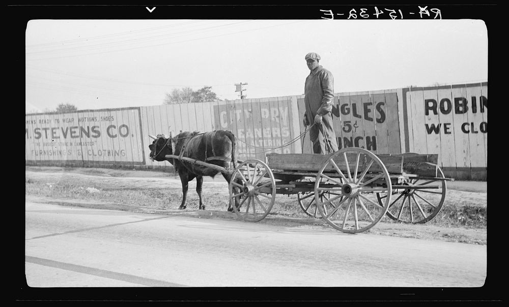 South Carolina  and crude ox-drawn wagon. Sourced from the Library of Congress.