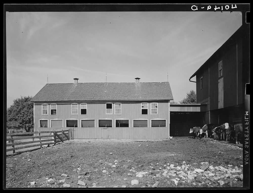 Lititz (vicinity), Lancaster County, Pennsylvania. Barnyard on the farm of C.F. Minnich. Sourced from the Library of…