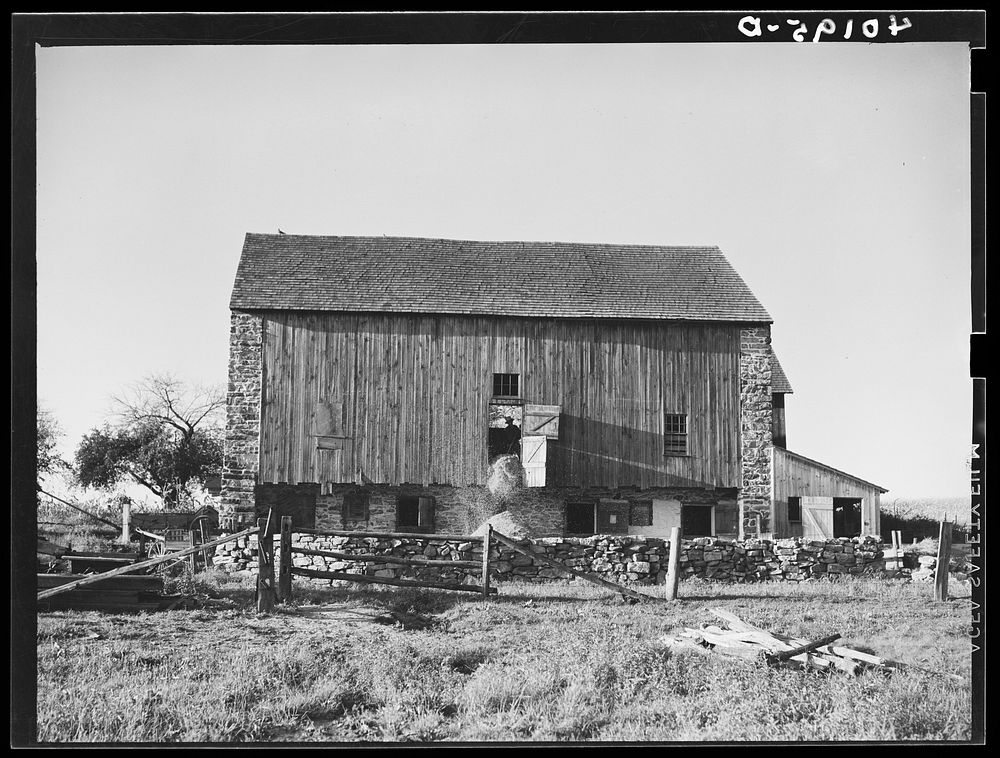 [Untitled photo, possibly related to: Barto, Berks County, Pennsylvania. Barn on the farm of Thomas G. Evans, a FSA (Farm…