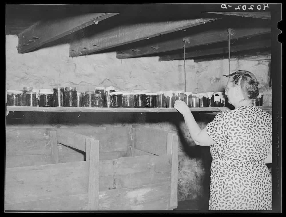 Barto, Berks County, Pennsylvania. Mrs. Thomas Evans with her jellies which are kept on a hanging shelf to keep the bugs off…