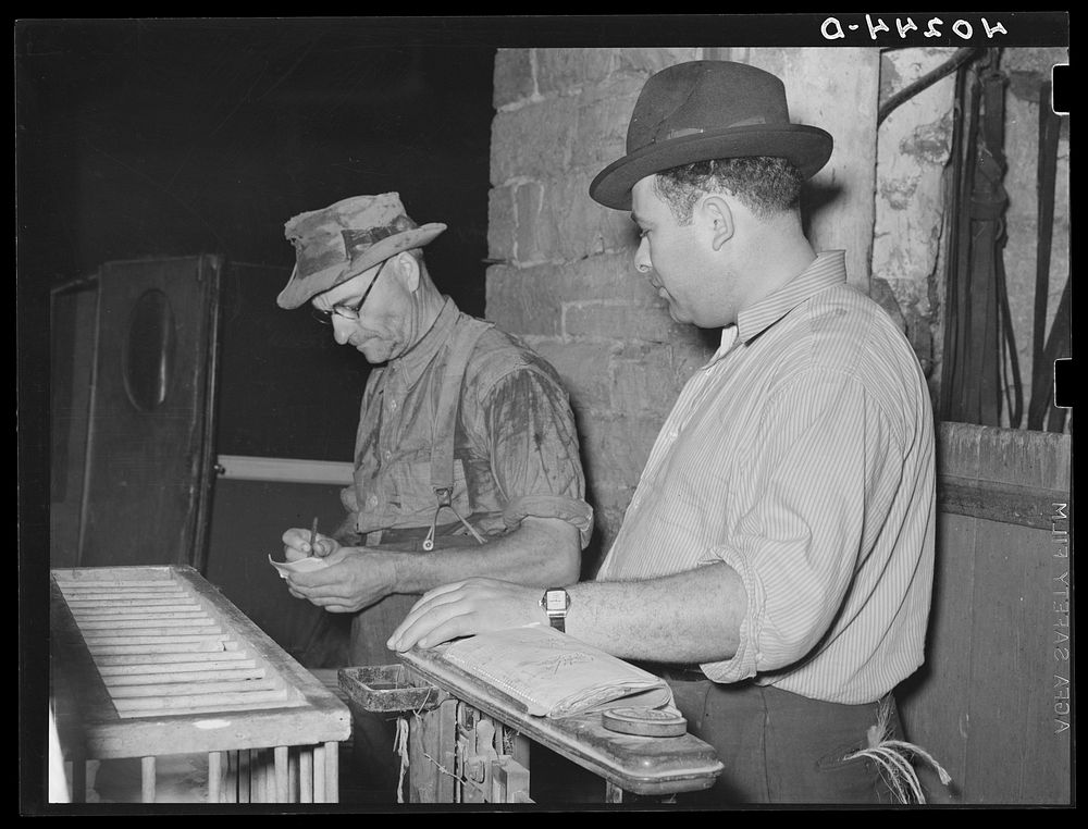 Lancaster County, Pennsylvania. Enos Royer and the poultry buyer figuring the cost of chickens by weight. The chickens…