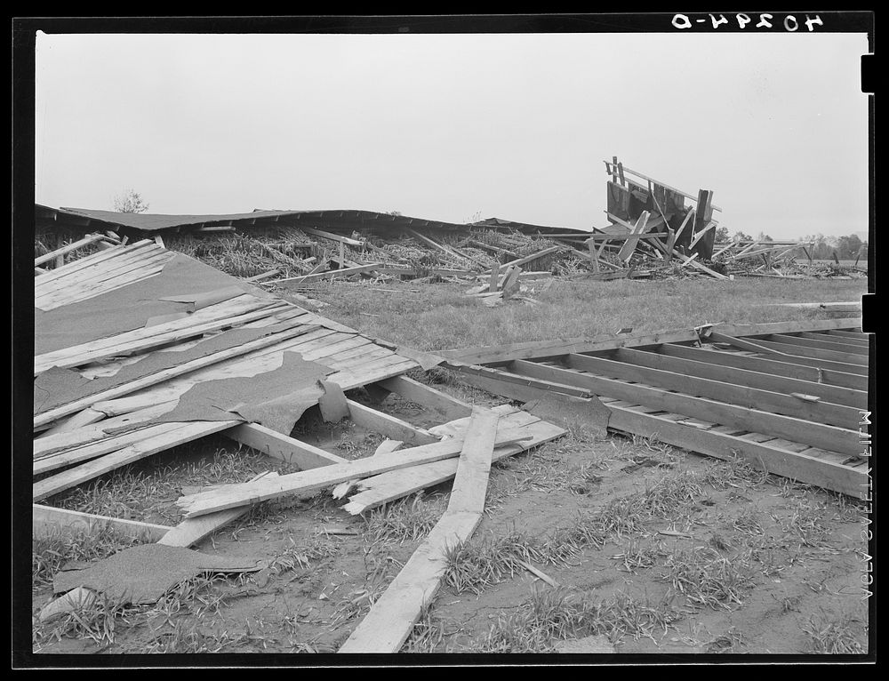 New England hurricane. Tobacco barn in Amherst, Massachusetts. Sourced from the Library of Congress.