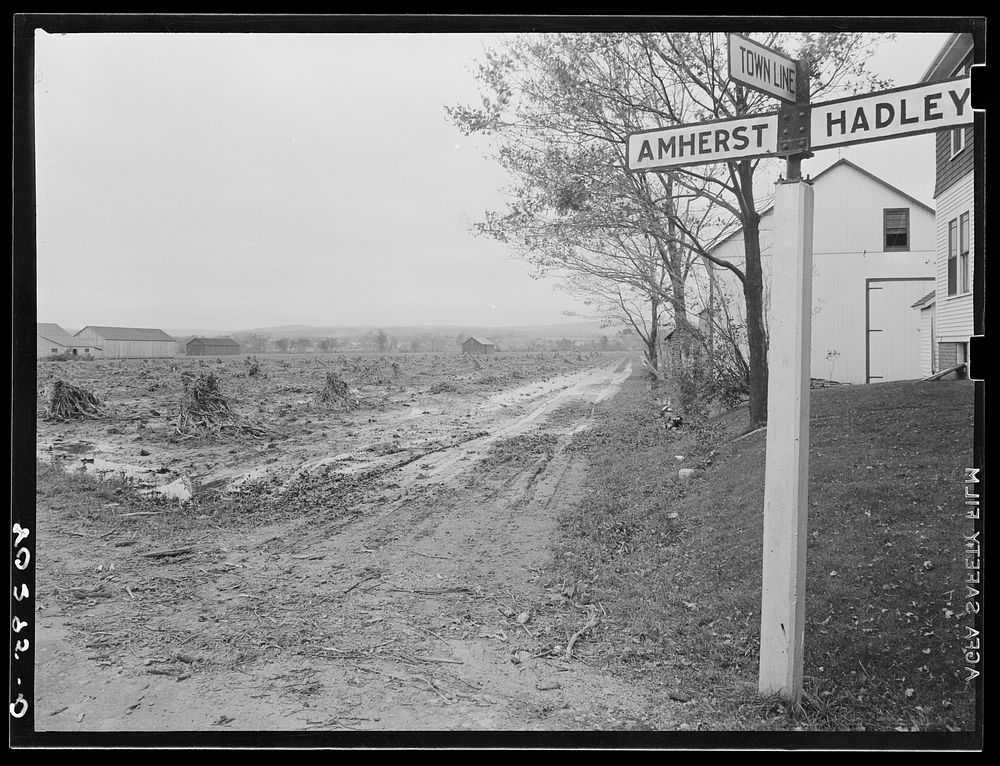 New England hurricane. Flooded-over cornfield near Amherst, Massachusetts. Sourced from the Library of Congress.