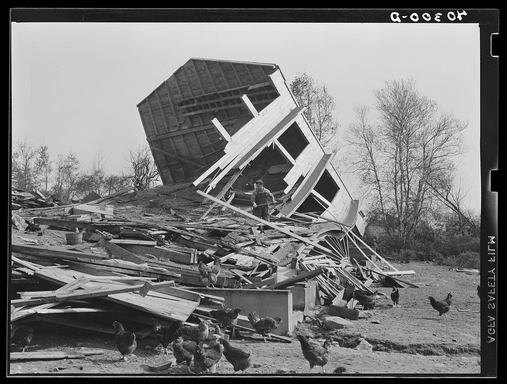 New England hurricane. Chicken house between Worcester and Amherst, Massachusetts. Sourced from the Library of Congress.
