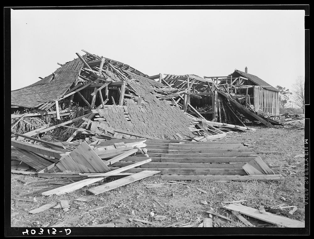 New England hurricane. Tobacco barn near Amherst, Massachusetts. Sourced from the Library of Congress.