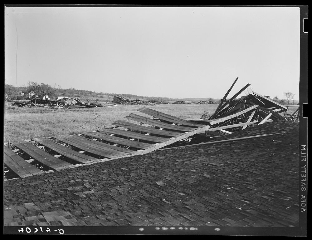 [Untitled photo, possibly related to: New England hurricane. Tobacco barn in Amherst, Massachusetts]. Sourced from the…