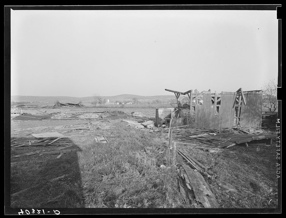 [Untitled photo, possibly related to: New England hurricane. Tobacco barn near Amherst, Massachusetts]. Sourced from the…