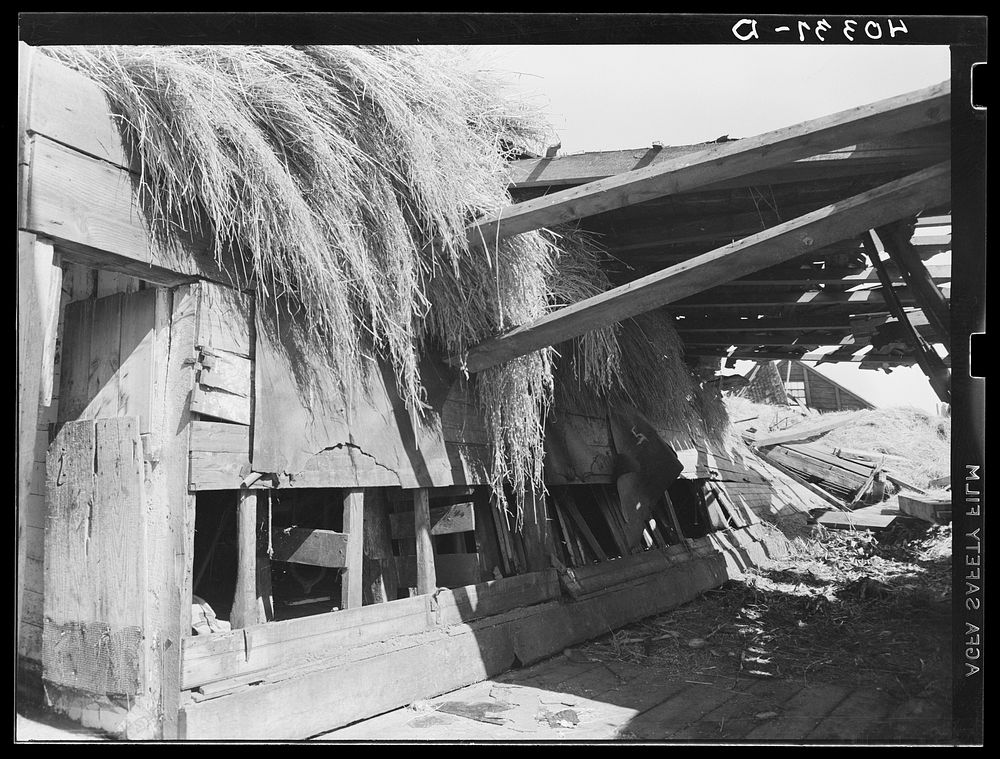 New England hurricane. Barn near Worcester, Massachusetts. Sourced from the Library of Congress.