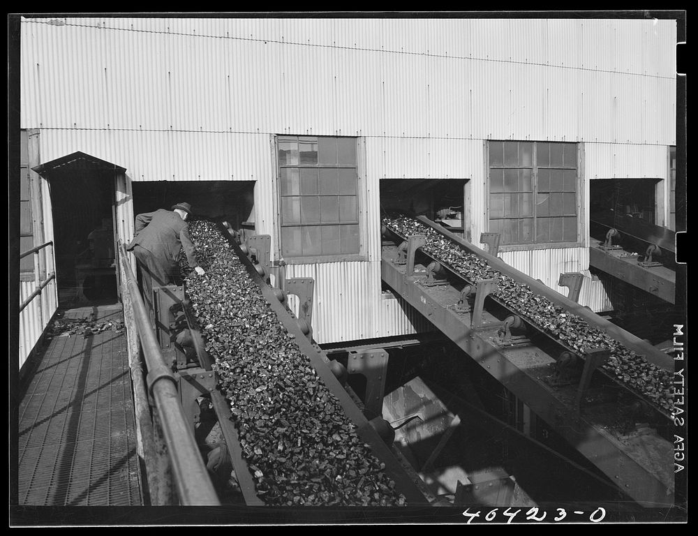 Gilberton, Pennsylvania. A company inspector examining coal on a car loading belt at the Saint Nicholas breaker, one of the…
