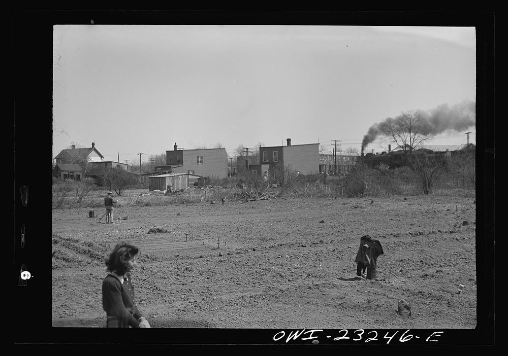 [Untitled photo, possibly related to: Washington, D.C. A victory garden, on Fairlawn Avenue, Southeast]. Sourced from the…