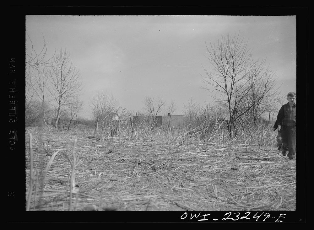 Washington, D.C. Site of a victory garden on Fairlawn Avenue, Southeast, before the ground was cleared. Sourced from the…