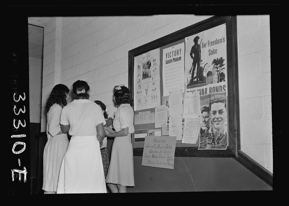 Charlotte Court House, Virginia. Central High School. Bulletin board and girls in entrance hall. Sourced from the Library of…
