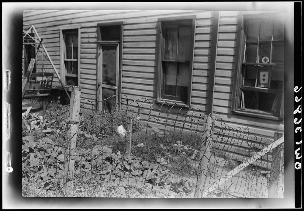 Washington, D.C. A Victory garden in the Southwest section. Sourced from the Library of Congress.