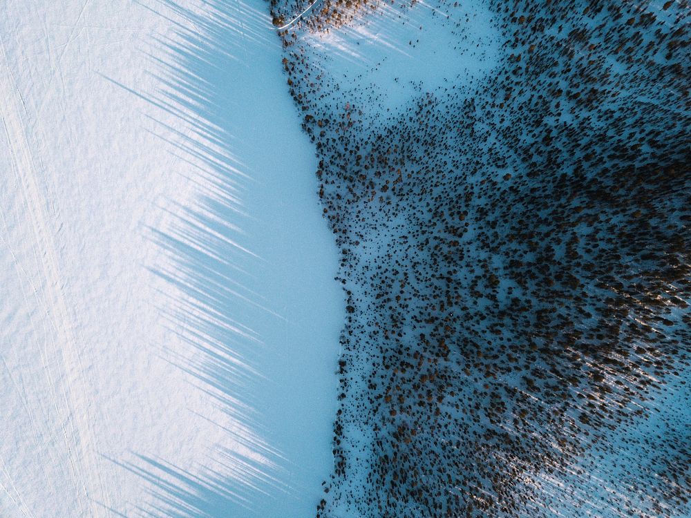 Aerial view of a snowy forest