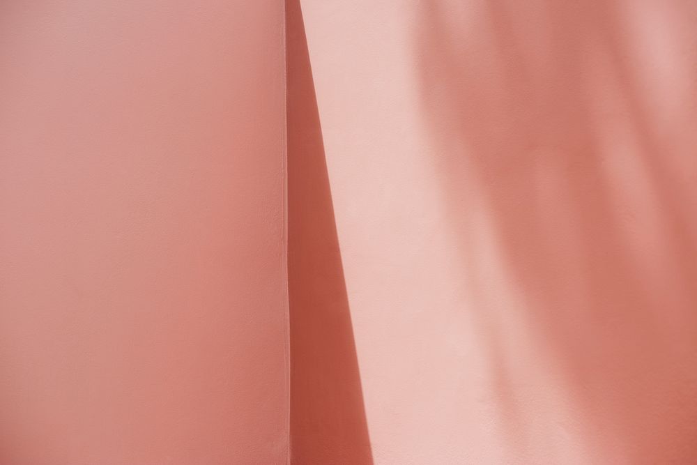 Blank pink wall with shadows